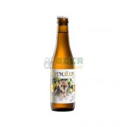 Lupulus 33cl - Beer Republic