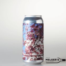 Ārpus  Blueberry x Blackcurrant x Cherry x Vanilla Sour Ale 44cl Blik - Melgers