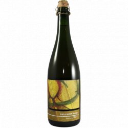 Insight Cellars Maturation: Bocoy 2021 - Dokter Bier