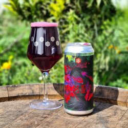 GRANIZO. BETTA CUATRO (Sour Syrah) - Tierra Cervecera