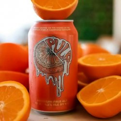 RaR Brewing Pulp 6 pack 12 oz. Can - Vine Republic