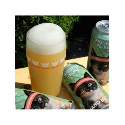 Noctem Artisans Brasseurs Rigueur Féline Noctem Artisans Brasseurs Rigueur Féline