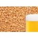 slad BEST WHEAT MALT (pšeničný) 