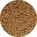 Crisp Finest Maris Otter Ale Malt 