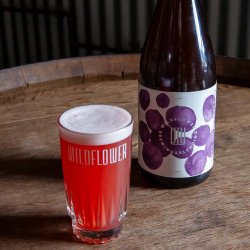 Wildflower - St Phoebe 2024: Ebony Sun plum - The Beer Barrel