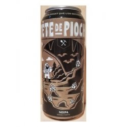 Le Prospecteur Double Tête De Pioche