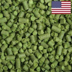 Citra (pellet) 100 gr - La Cabaña del Cervecero