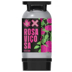 Dois Corvos Rosa Viçosa (2025)