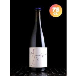 SPO  Sureau 2023  Saison Fleurs de Sureau  5,2% - Quaff Webshop