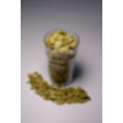 Progress - Alpha 7.6% - 2022 Harvest 100g  Worcester Hop Shop - Worcester Hop Shop