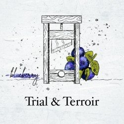 Hop Hooligans TRIAL AND TERROIR: BLUEBERRY 2019 - Labirratorium