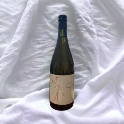 Nano Brasserie SPO Lie Pêches De Vigne Nano Brasserie SPO Lie Pêches De Vigne