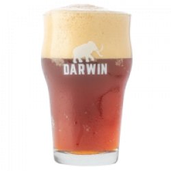 Vaso Pinta Nonic Darwin 30cl - Mefisto Beer Point