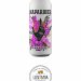 NAPARBIER  PARADISE? (LATA 44 CL) 