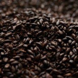 MALTA BLACKPRINZ BRIESS - Insumos Cerveceros de Occidente