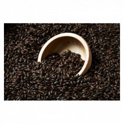 MALTA BS BARLEY (ROASTED BARLEY) SWAEN - Insumos Cerveceros de Occidente