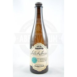 Wicked Weed Fille de Ferme 37.5cl - AbeerVinum