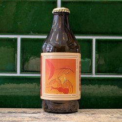 Dookit Brewing  Solace