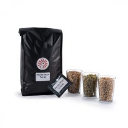 Pale Ale Refill (4L) - BeerGuevara