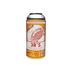 UnBarred Brewery 3B