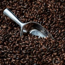 Malta Blackswaen Black  The Swaen X 1 Kg. - The Craft Drinks Lab