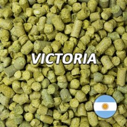 Lúpulo Victoria - Lúpulos Andinos - Silo Cervecero