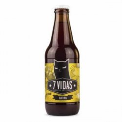 7 Vidas Cat IPA