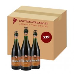 Dupont Moinette Ambree 8.5% 12x75cl - Enoteca Telaro.it