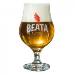 Copa Dublin Beata 0.3L - Mefisto Beer Point