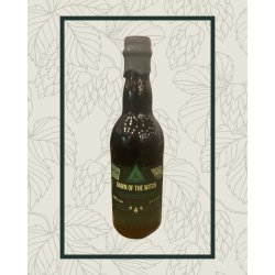 Mad Scientist Dawn of the Witch Mad Scientist Dawn of the Witch