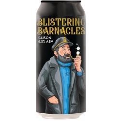 Double Vision Blistering Barnacles Saison 440ml - The Beer Cellar