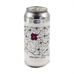 Popihn DIPA DDH - STRATA / NELSON SAUVIN / CITRA