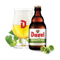 DUVEL TRIPLE HOP CITRA 9.5... - Rond Point