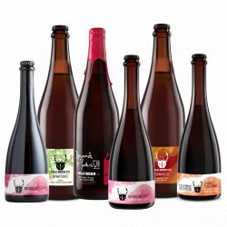 The Wild Beer Premium Mixed Case Bundle - The Wild Beer Co