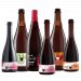 The Wild Beer Premium Mixed Case Bundle 