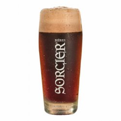 Verre Bière du Sorcier 50 cl - RB-and-Beer