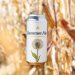 Trillium Brewing Company. Summer Ale 