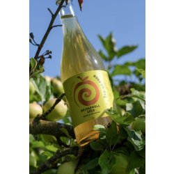 Ross on Wye  Bridgewell single orchard 2022 (750ml) - The Cat In The Glass