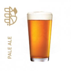 Kit Pale Ale 20lt - Malt Insumos