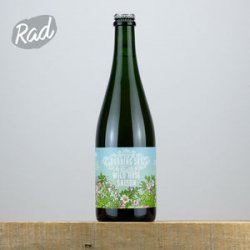 Burning Sky Wild Rose Saison - Radbeer