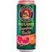 Paulaner Brewery Grapefruit Radler 