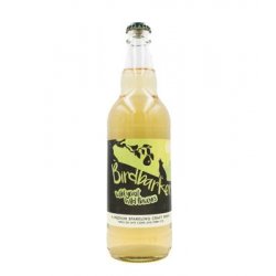 Ross-on-Wye - Birdbarker Perry - 500ml bottle - Hopping Borders