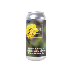 Arpus Apricot x Mango x Passionfruit x Vanilla Smoothie Sour Ale - Drankenhandel Leiden / Speciaalbierpakket.nl