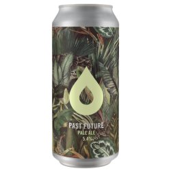 Pollys Past Future Pale Ale 440ml (5.4%) - Indiebeer