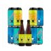 The Wild Beer Mixed Craft Beer Bundle 