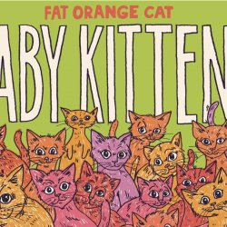 Fat Orange Cat Brewing Co. Baby Kittens 4 pack 16 oz. - Kelly’s Liquor