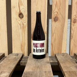 Pinot Noir de Antoine — Cyclic Beer Farm - Cyclic Beer Farm