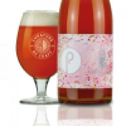 Pastore x Jester King – Il Buffone Fragola - Curators of Craft