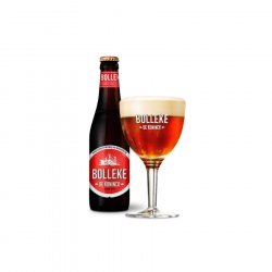 Bolleke De Koninck - Premium Drinks