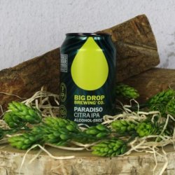 Big Drop Reef Point Lager 0.5% 330ml - Bakers and Larners of Holt